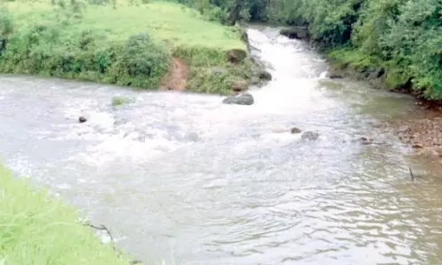 कार्यकर्ताओं का आरोप है कि Mhadei नदी का पानी पीने के पानी के लिए नहीं