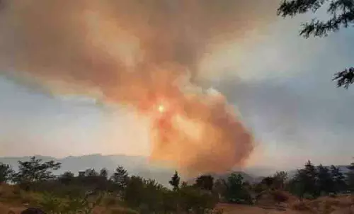Himachal: बैठक में वन अग्नि की रोकथाम और निवारण पर चर्चा की गई Himachal: बैठक में वन अग्नि की रोकथाम और निवारण पर चर्चा की गई