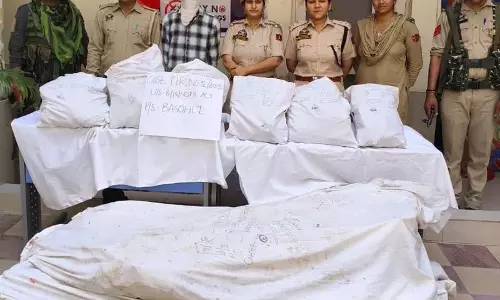 Kathua में 126 किलोग्राम से अधिक अफीम के पौधे जब्त, एक गिरफ्तार Kathua में 126 किलोग्राम से अधिक अफीम के पौधे जब्त, एक गिरफ्तार