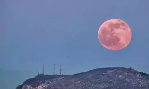 Pink Moon 2025: प्रत्येक राशि के लिए ज्योतिषीय अंतर्दृष्टि और सलाह