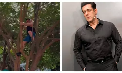 सलमान खान जामुन तोड़ने के लिए आसानी से पेड़ पर चढ़े, देखें वीडियो सलमान खान जामुन तोड़ने के लिए आसानी से पेड़ पर चढ़े, देखें वीडियो