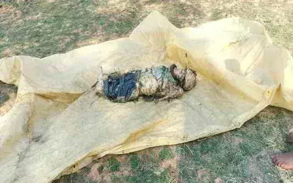 Gumla: किरतो डैम से नर कंकाल बरामद, पहचान में जुटी पुलिस