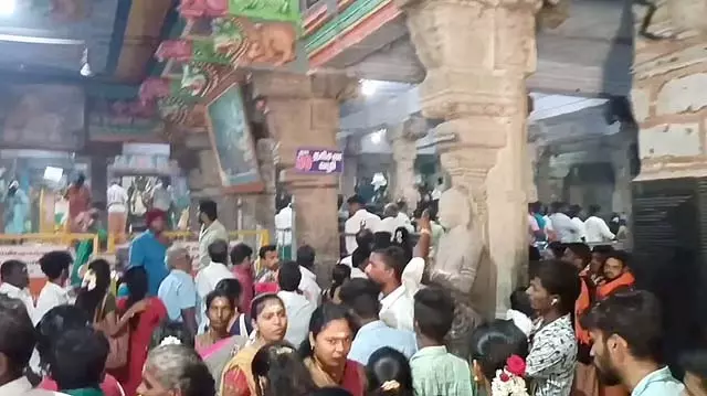 Panguni Uthiram - मुरुगन मंदिरों में बड़ी संख्या में भक्त आते Panguni Uthiram - मुरुगन मंदिरों में बड़ी संख्या में भक्त आते