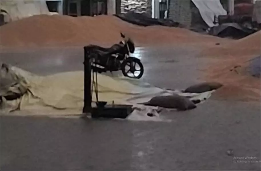 Haryana : बारिश का कहर,किसानों को भारी नुकसान Haryana : बारिश का कहर,किसानों को भारी नुकसान