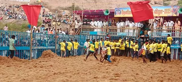 Tamil Nadu: थेनीमलाई सुब्रमण्यर मंदिर जल्लीकट्टू महोत्सव Tamil Nadu: थेनीमलाई सुब्रमण्यर मंदिर जल्लीकट्टू महोत्सव