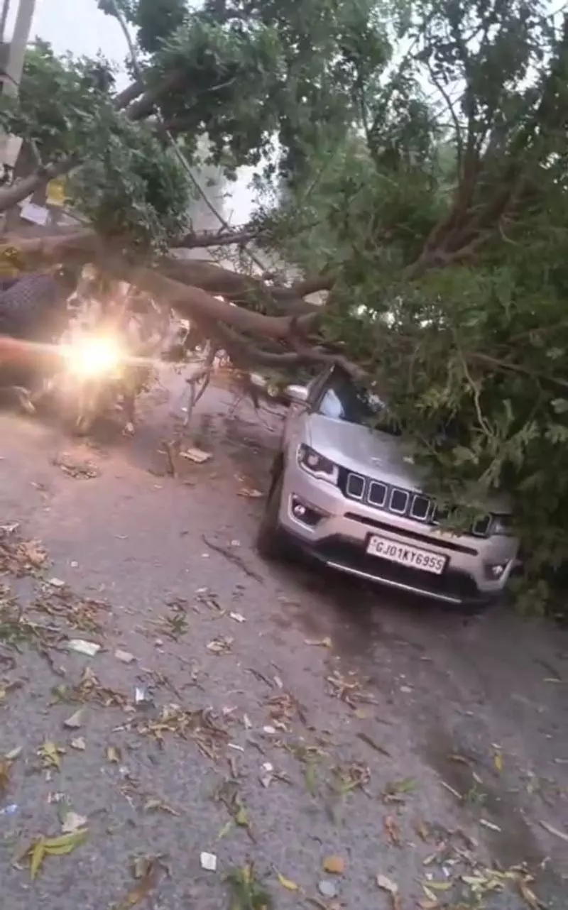Haryana : आंधी के बीच साइनेज पिलर कार पर गिरने से 2 लोग घायल Haryana : आंधी के बीच साइनेज पिलर कार पर गिरने से 2 लोग घायल