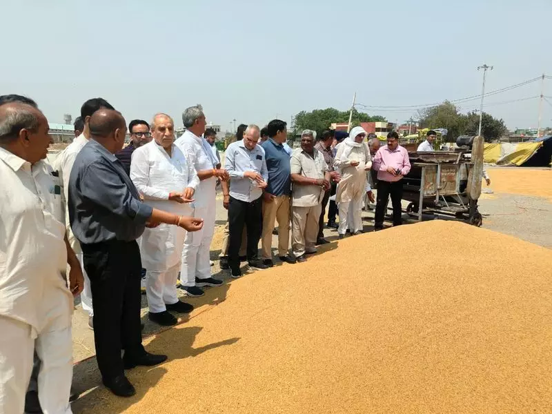 Haryana : अनिश्चित मौसम के बीच अंबाला, कुरुक्षेत्र में गेहूं की आवक में तेजी Haryana : अनिश्चित मौसम के बीच अंबाला, कुरुक्षेत्र में गेहूं की आवक में तेजी