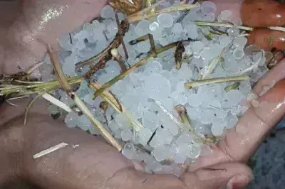 Singrauli में ओलावृष्टि और तूफान ने मचाई तबाही Singrauli में ओलावृष्टि और तूफान ने मचाई तबाही