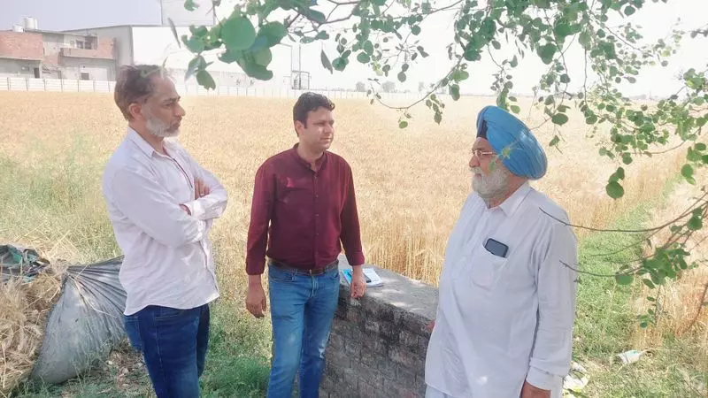 Haryana : गेहूं की कटाई में तेजी, फसल अवशेष जलाने के मामलों की जांच के लिए 97 टीमें गठित Haryana : गेहूं की कटाई में तेजी, फसल अवशेष जलाने के मामलों की जांच के लिए 97 टीमें गठित