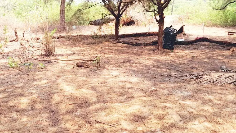 Betalbatim बीच कूड़े-कचरे को रोकने के लिए पिकनिक मनाने वालों के लिए वापसी योग्य जमा राशि शुरू Betalbatim बीच कूड़े-कचरे को रोकने के लिए पिकनिक मनाने वालों के लिए वापसी योग्य जमा राशि शुरू
