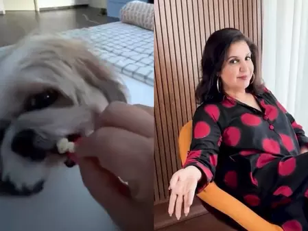 Farah Khan ने मजेदार तरीके से बताया कि उनकी राजकुमारी स्मूची कैसे थक जाती है Farah Khan ने मजेदार तरीके से बताया कि उनकी राजकुमारी स्मूची कैसे थक जाती है