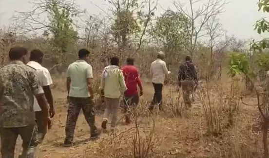 बीजापुर एसपी ने 3 नक्सलियों के मारे जाने की पुष्टि की बीजापुर एसपी ने 3 नक्सलियों के मारे जाने की पुष्टि की