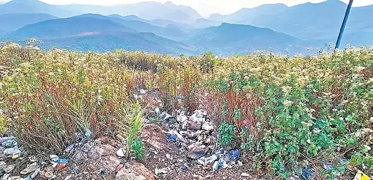 Odisha में प्लास्टिक पर प्रतिबंध, उल्लंघन करने वालों को देना होगा 1 हजार रुपये का जुर्माना Odisha में प्लास्टिक पर प्रतिबंध, उल्लंघन करने वालों को देना होगा 1 हजार रुपये का जुर्माना