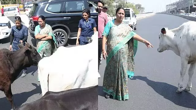 Delhi CM: एक आदमी को गाय को खाना खिलाते देख हैरान रह गई Delhi CM: एक आदमी को गाय को खाना खिलाते देख हैरान रह गई