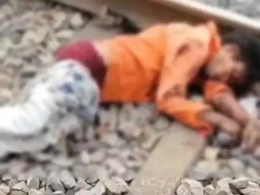 मालगाड़ी के सामने कूदा युवक, कटकर मौत मालगाड़ी के सामने कूदा युवक, कटकर मौत
