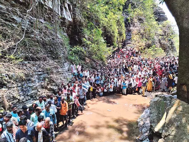 नल्लामाला पहाड़ियों में स्थित सल्सेश्वरम लिंगमय्या मंदिर में भक्तों की कतारें लगी हुई नल्लामाला पहाड़ियों में स्थित सल्सेश्वरम लिंगमय्या मंदिर में भक्तों की कतारें लगी हुई