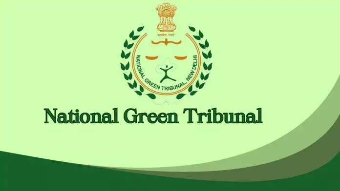 प्रशासन ने NGT के समक्ष भद्रवाह में पेड़ों की अवैध कटाई की बात स्वीकार की प्रशासन ने NGT के समक्ष भद्रवाह में पेड़ों की अवैध कटाई की बात स्वीकार की