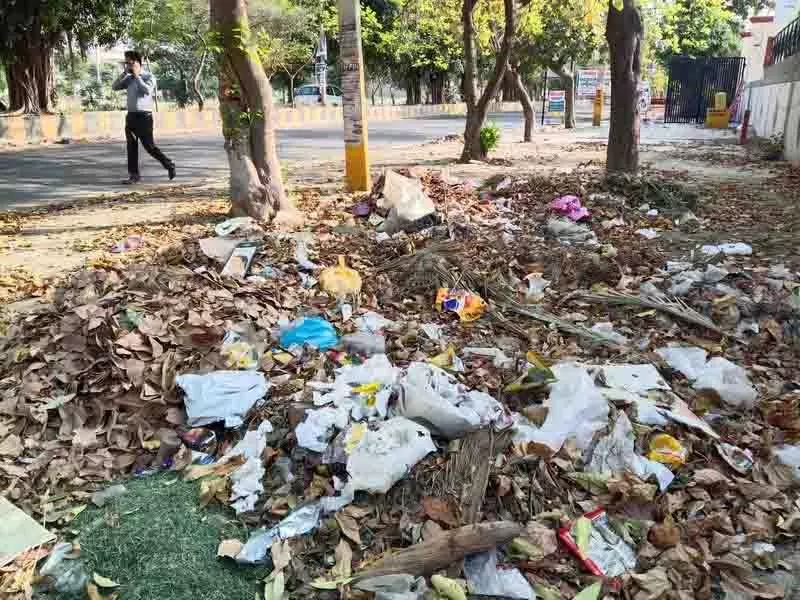Amritsar के निवासी खराब सफाई व्यवस्था और स्वच्छता की स्थिति से चिंतित Amritsar के निवासी खराब सफाई व्यवस्था और स्वच्छता की स्थिति से चिंतित
