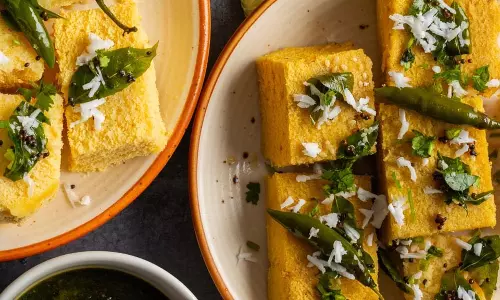 Instant Dhokla Recipe: शाम के नाश्ते में बनाएं बिना खमीर का ढोकला