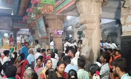 Panguni Uthiram - मुरुगन मंदिरों में बड़ी संख्या में भक्त आते Panguni Uthiram - मुरुगन मंदिरों में बड़ी संख्या में भक्त आते