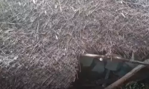 भारी बारिश के कारण ढही दीवार, एक की मौत