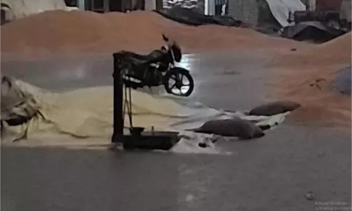 Haryana : बारिश का कहर,किसानों को भारी नुकसान
