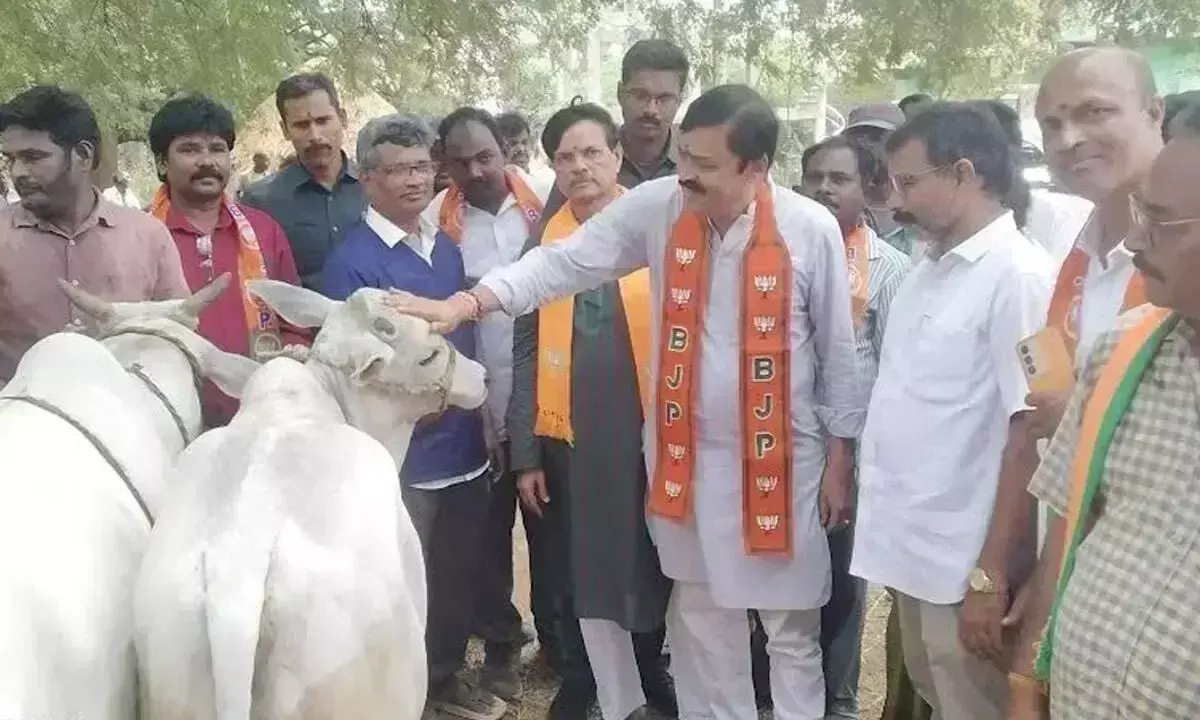 Andhra: जीवीएल ने पद्मनाभम मंडल के गांवों का दौरा किया
