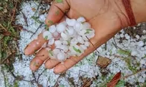 Uttarakhand: ओलावृष्टि और बारिश से खेतों में भरा पानी Uttarakhand: ओलावृष्टि और बारिश से खेतों में भरा पानी