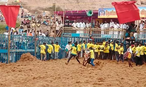 Tamil Nadu: थेनीमलाई सुब्रमण्यर मंदिर जल्लीकट्टू महोत्सव