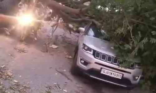 Haryana : आंधी के बीच साइनेज पिलर कार पर गिरने से 2 लोग घायल Haryana : आंधी के बीच साइनेज पिलर कार पर गिरने से 2 लोग घायल