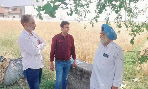 Haryana : गेहूं की कटाई में तेजी, फसल अवशेष जलाने के मामलों की जांच के लिए 97 टीमें गठित