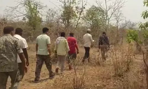 बीजापुर एसपी ने 3 नक्सलियों के मारे जाने की पुष्टि की बीजापुर एसपी ने 3 नक्सलियों के मारे जाने की पुष्टि की