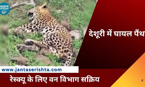 देशूरी में घायल पैंथर दिखा, रेस्क्यू के लिए वन विभाग सक्रिय