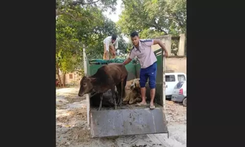 Odisha: सुंदरगढ़ में मवेशी तस्करों ने आबकारी टीम पर की गोलीबारी