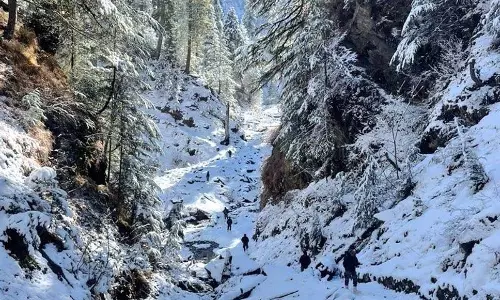 Kishtwar में उग्रवादी मारा गया, अन्य की तलाश जारी