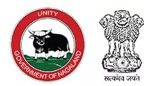 Nagaland :  ईएसी जलुकी ने यात्रा संबंधी सलाह जारी की