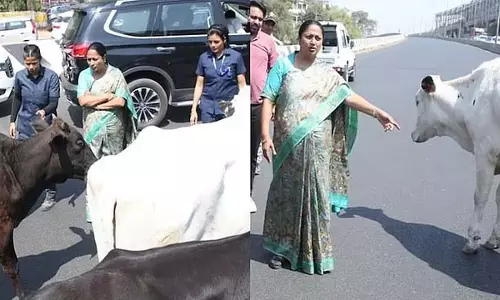 Delhi CM: एक आदमी को गाय को खाना खिलाते देख हैरान रह गई Delhi CM: एक आदमी को गाय को खाना खिलाते देख हैरान रह गई