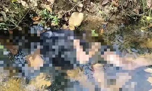 बाघ ने बच्चे को जबड़ों में जकड़ लिया और घसीटकर जंगल में ले गया, नाले में मृत पाया गया बाघ ने बच्चे को जबड़ों में जकड़ लिया और घसीटकर जंगल में ले गया, नाले में मृत पाया गया
