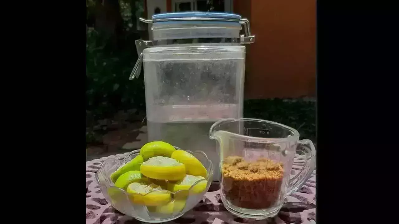 बारला कुंटा झील को स्वस्थ रखने के लिए Bio-enzyme अभियान की योजना बनाई