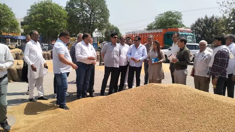 हैफेड एमडी ने किया करनाल अनाज मंडी का निरीक्षण हैफेड एमडी ने किया करनाल अनाज मंडी का निरीक्षण