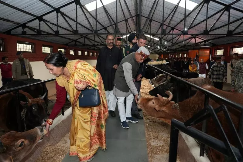 शिमला के ग्रामीण क्षेत्र को पर्यटन के लिए विकसित करने की आवश्यकता शिमला के ग्रामीण क्षेत्र को पर्यटन के लिए विकसित करने की आवश्यकता