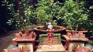 Vaishakh Month 2025: वैशाख माह में तुलसी से करें ये उपाय, मां लक्ष्मी होंगी प्रसन्न Vaishakh Month 2025: वैशाख माह में तुलसी से करें ये उपाय, मां लक्ष्मी होंगी प्रसन्न