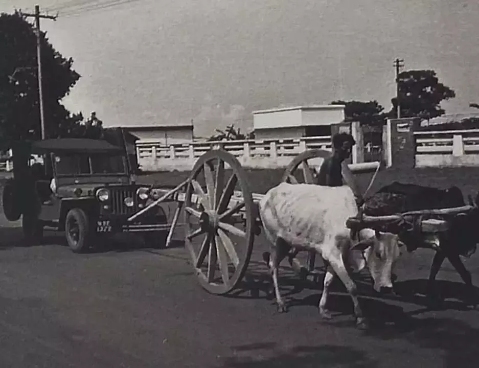 15 दुर्लभ तस्वीरों में देखें भुवनेश्वर का दशकों पुराना अतीत 15 दुर्लभ तस्वीरों में देखें भुवनेश्वर का दशकों पुराना अतीत