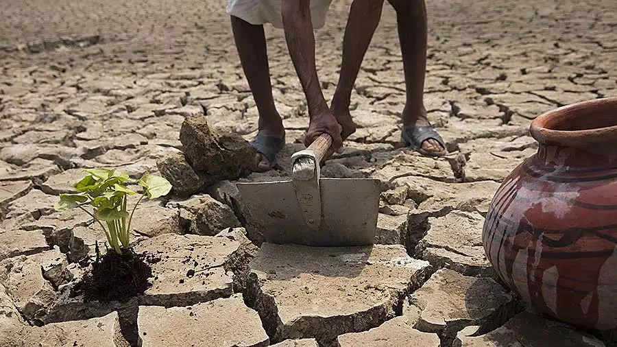 Maharashtra: 15 अप्रैल से कृषि योजनाओं के लाभ के लिए किसान पहचान पत्र अनिवार्य Maharashtra: 15 अप्रैल से कृषि योजनाओं के लाभ के लिए किसान पहचान पत्र अनिवार्य