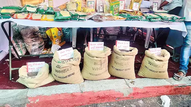 Raitu Mahotsav : अन्नदाताओं के लिए आय का अतिरिक्त स्रोत Raitu Mahotsav : अन्नदाताओं के लिए आय का अतिरिक्त स्रोत