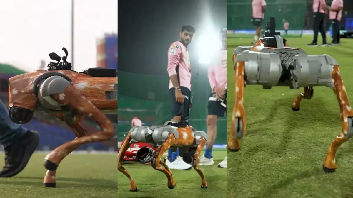 रोबोट डॉग: IPL ने प्रसारण परिवार में नया सदस्य जोड़ा, फैंस ने अनोखे नाम रखे, VIDEO रोबोट डॉग: IPL ने प्रसारण परिवार में नया सदस्य जोड़ा, फैंस ने अनोखे नाम रखे, VIDEO