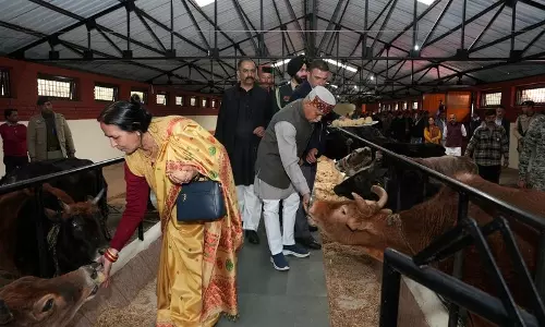शिमला के ग्रामीण क्षेत्र को पर्यटन के लिए विकसित करने की आवश्यकता शिमला के ग्रामीण क्षेत्र को पर्यटन के लिए विकसित करने की आवश्यकता
