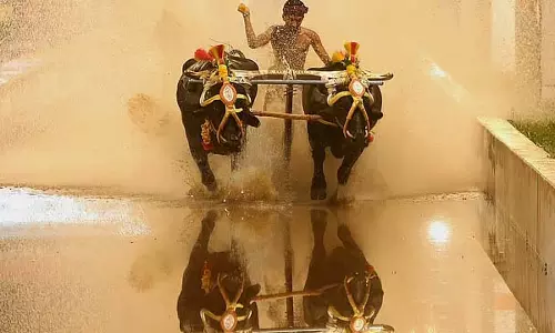 कंबाला को दशहरा खेलों में शामिल किया जाएगा: राज्य सरकार ने घोषणा की कंबाला को दशहरा खेलों में शामिल किया जाएगा: राज्य सरकार ने घोषणा की