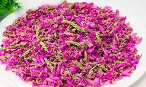 Zirhul: औषधीय गुणों से भरपूर फूल, सेहत के लिए वरदान