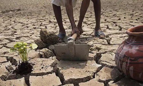 Maharashtra: 15 अप्रैल से कृषि योजनाओं के लाभ के लिए किसान पहचान पत्र अनिवार्य